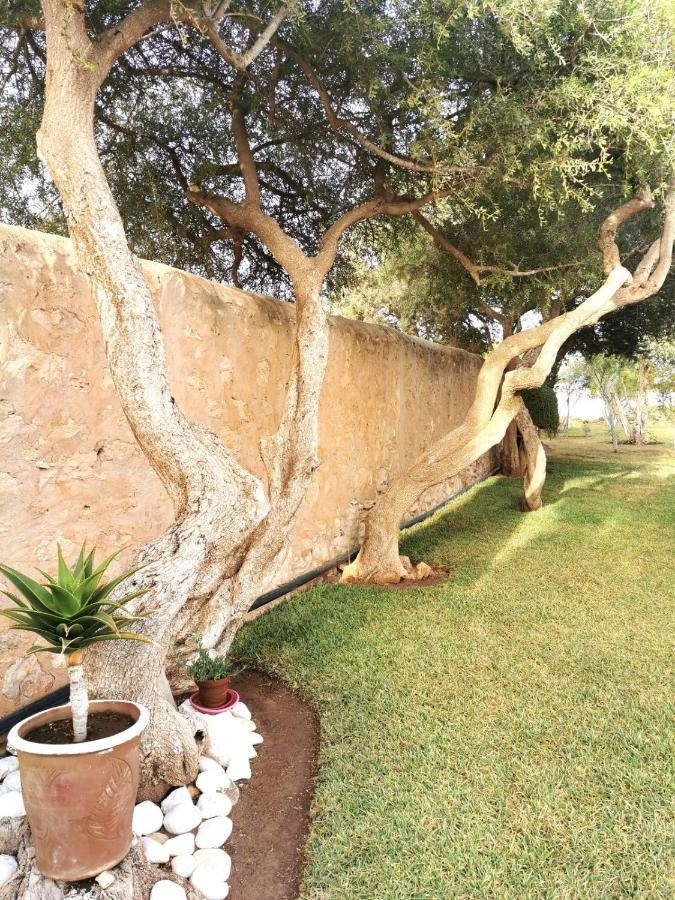 Maison Mimosa, Lovely 3 Bedroom Villa With A Large Pool Esauira Exterior foto